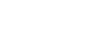 Logo Fysi Branco 500x300 Footer
