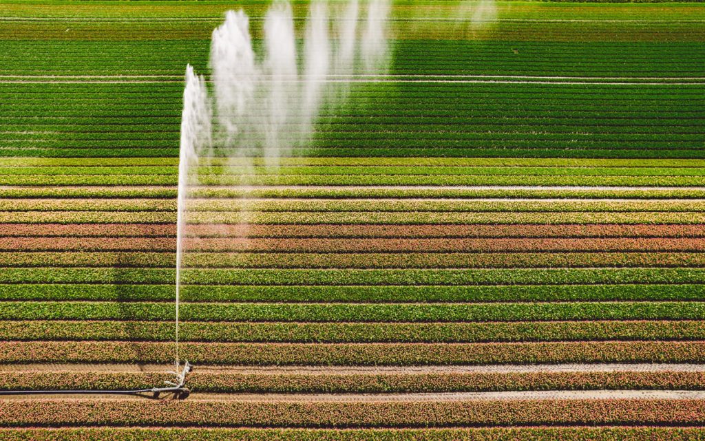 Irrigação de água